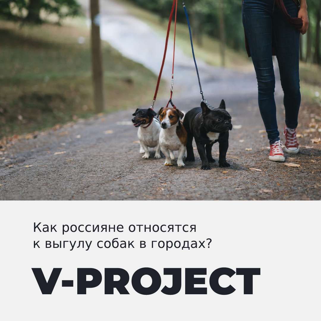 Мнения жителей о выгуле собак в городах