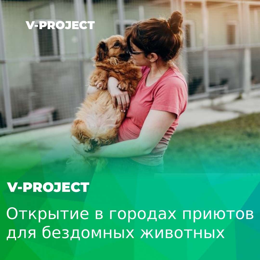 Приюты для животных: как с ними быть?